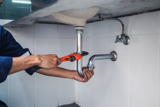 Best Plumbing Inspection Services  in Harriman, TN
