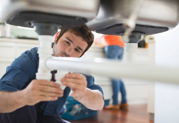 Best Clogged Drain Plumber  in Harriman, TN